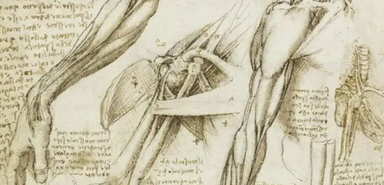 Sanatçının Eğitimi