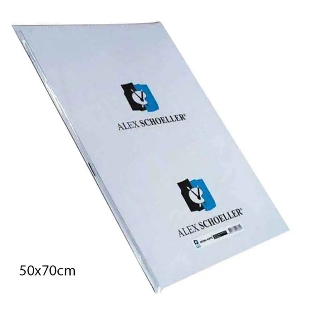 Alex Schoeller Amerikan Bristol Kartonu 210gr 50x70cm
