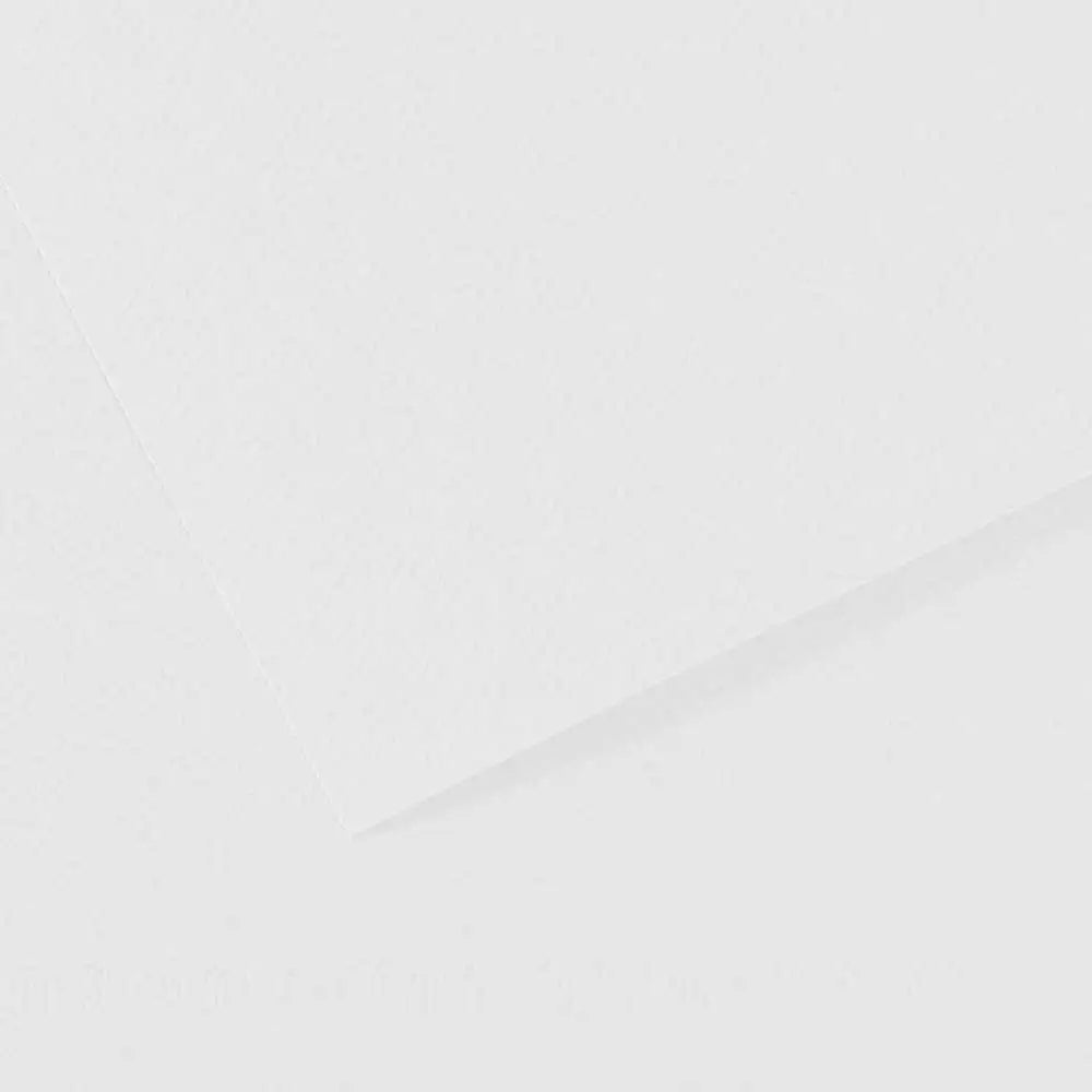 Canson Mi-Teintes 160gr 50x65cm White