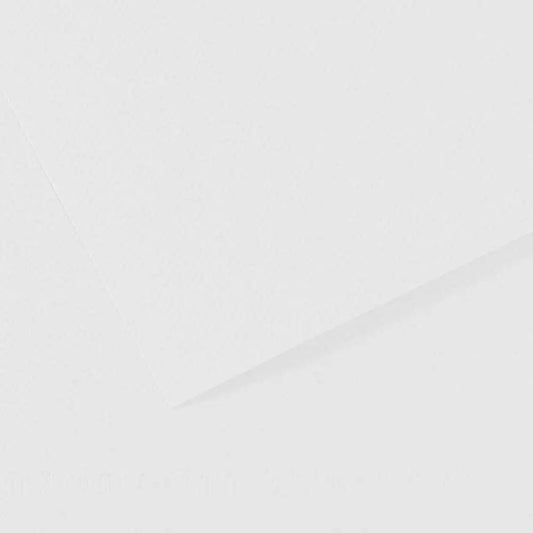 Canson Mi-Teintes 160gr 50x65cm White