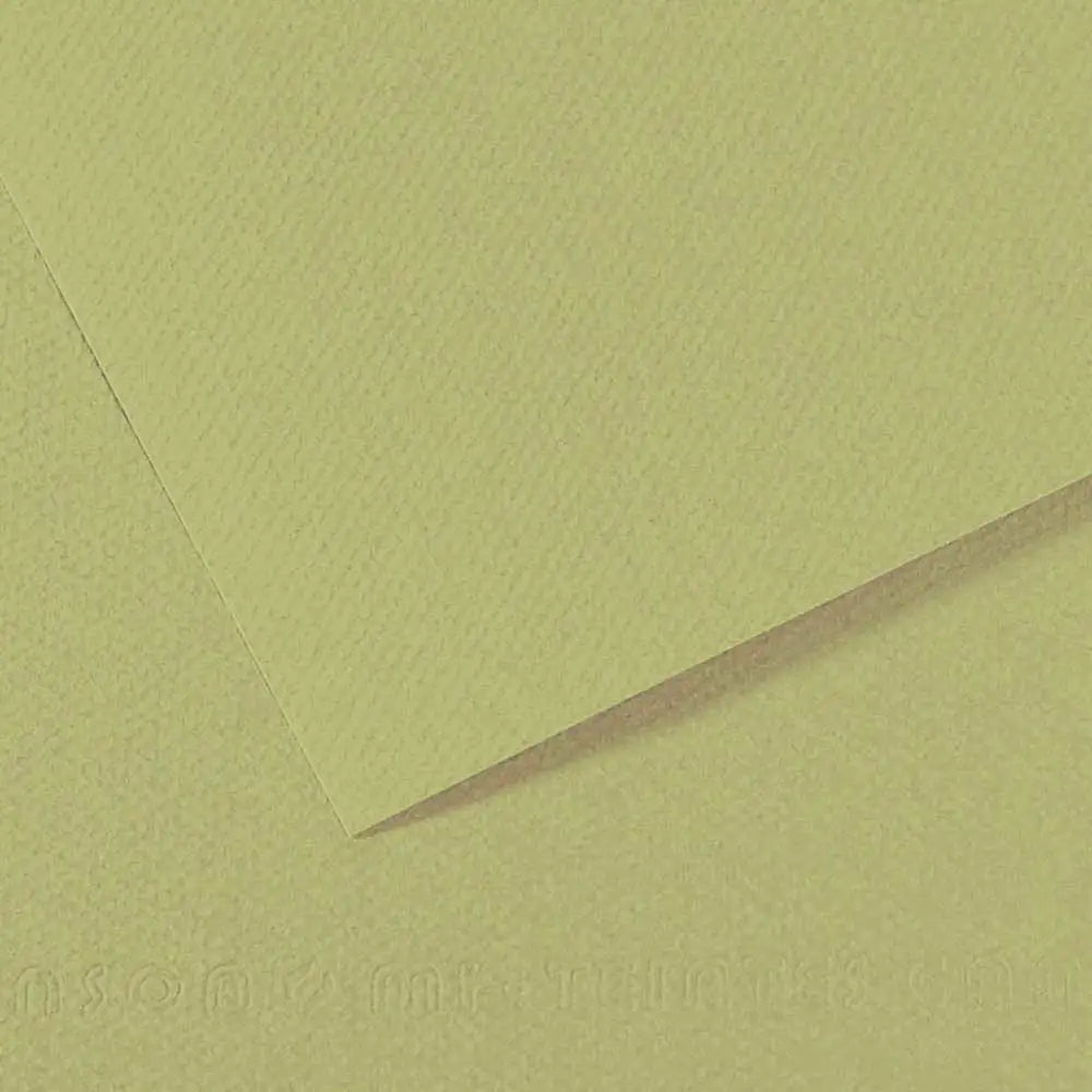 Canson Mi-Teintes 160gr 50x65cm Almond Green