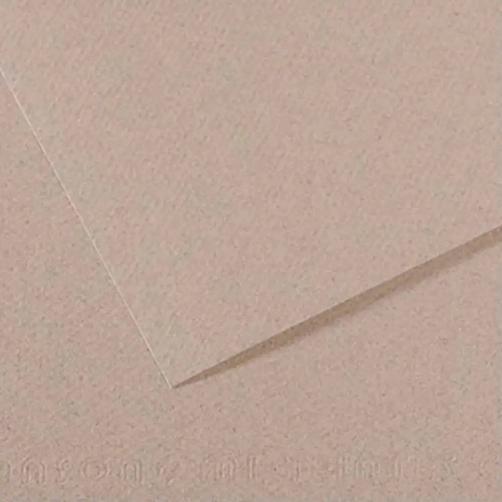 Canson Mi-Teintes 160gr 50x65cm Light Grey