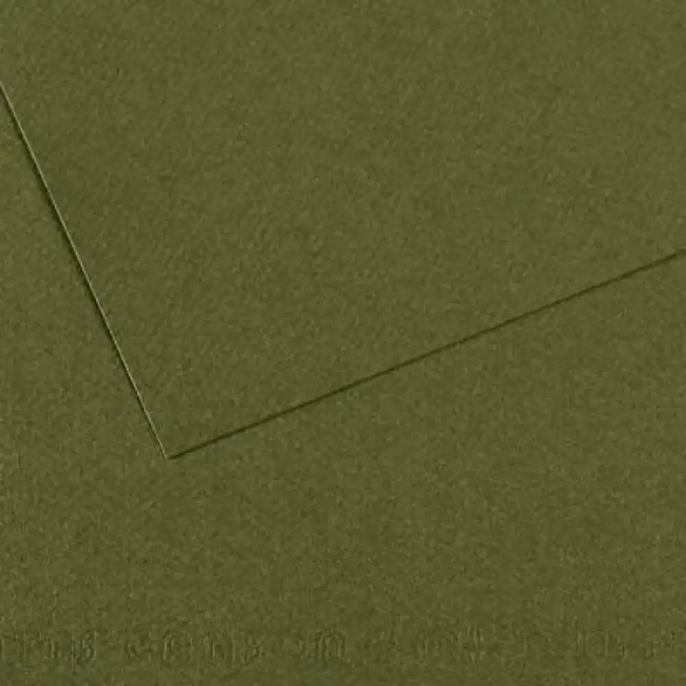 Canson Mi-Teintes 160gr 50x65cm Sea Green