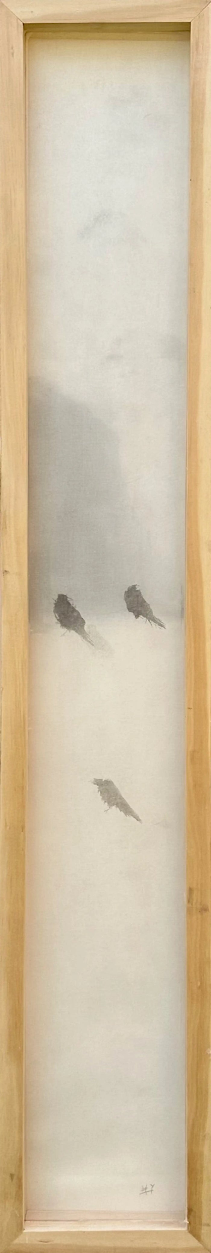 Birds Never Before Seen -  - 