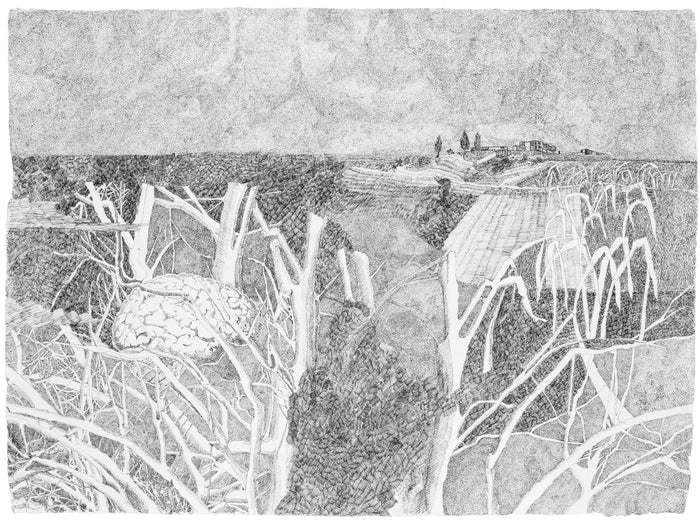 Kır Manzaraları - 2018 - Kağıt üzerine mürekkep, 56 x 74 cm