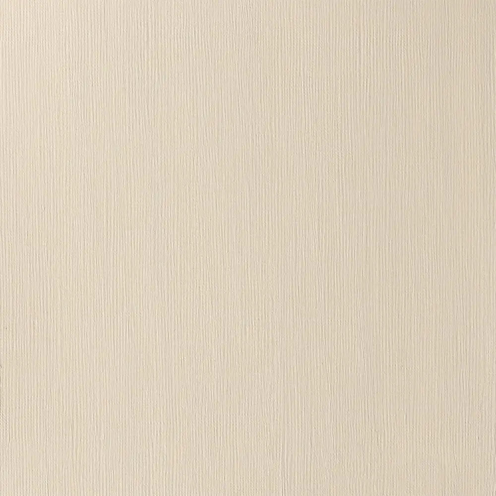 Winsor & Newton Professional Acrylic 200ml Buff Titanium 060 S.1
