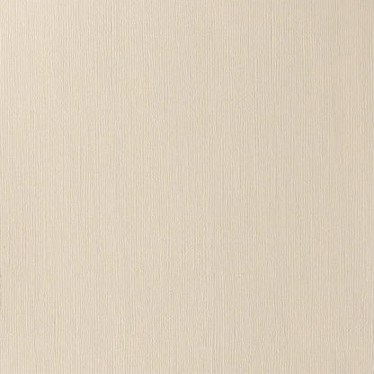 Winsor & Newton Professional Acrylic 200ml Buff Titanium 060 S.1