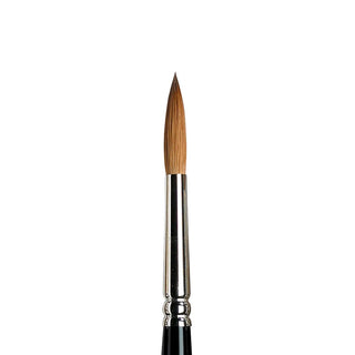 Winsor & Newton Series 7 Kolinsky Samur Yuvarlak Fırça No:7 (Ahşap Kutulu)