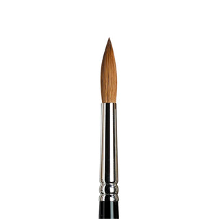Winsor & Newton Series 7 Kolinsky Samur Yuvarlak Fırça No:8 (Ahşap Kutulu)