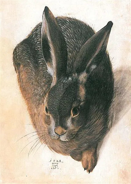 Hare
1528
